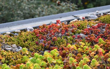 the cost of Walkers Green green roof installation