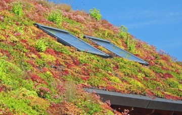 Walkers Green living roof systems