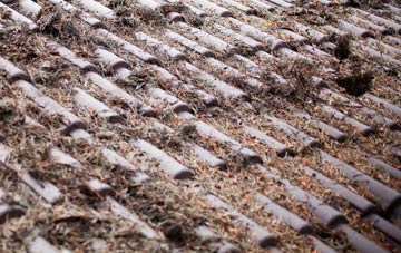 Walkers Green roof cleaning companies