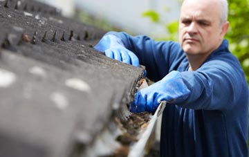 cleaning and inspecting Walkers Green roofs