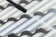 rated Walkers Green roof cleaning companies